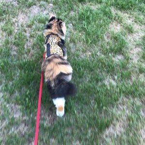 Meet your Posher, Denise